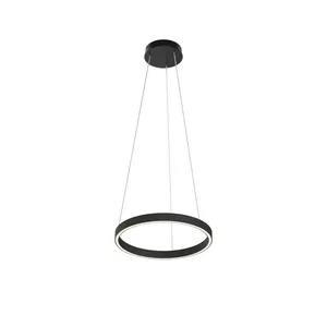 Подвесной светильник Maytoni MOD058PL-L22BK