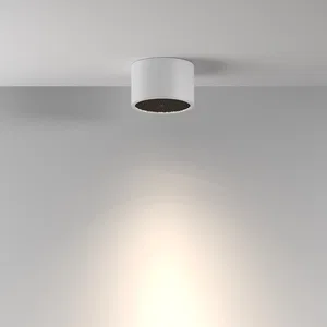 Потолочный светильник Technical C122CL-GX53-W