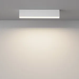 Потолочный светильник Technical C068CL-20W3-6K-W