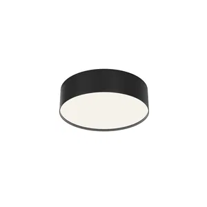 Потолочный светильник Technical C032CL-24W4K-RD-B