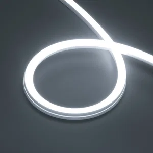 Лента герметичная MOONLIGHT-PRO-SIDE-X320-20x20mm 48V White6000 (10 W/m, IP67, 30m, wire x2) (Arlight, Вывод боковой, 7 лет)