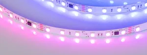 Лента SPI-B60-10mm 24V RGB-PX6-BPT (12 W/m, IP20, 5060, 5m) (Arlight, бегущий огонь)