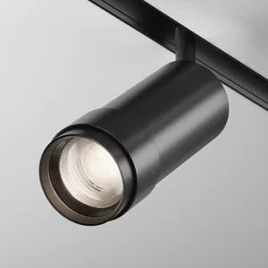 Трековый светильник Technical TR212-4-12WTW-DD2-Z-B