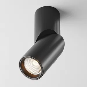 Потолочный светильник Technical C027CL