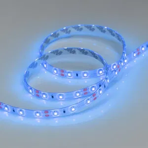 Лента RTW 2-5000SE 12V Blue (3528, 300 LED, LUX) (Arlight, 4.8 Вт/м, IP65)