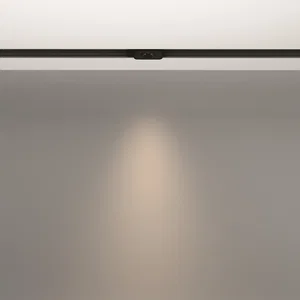 Трековый светильник Technical TR100-2-2W4K-S-B
