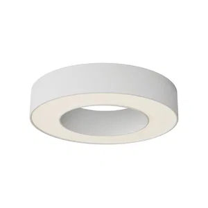 Потолочный светильник Technical C093CL-24W3K-W