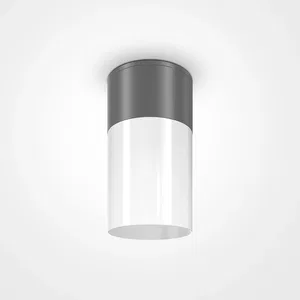 Уличный потолочный светильник Outdoor O418CL-01GR