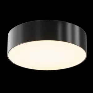 Уличный потолочный светильник Outdoor O431CL-L30B3K