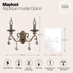 Настенный светильник (бра) Maytoni RC247-WL-02-R