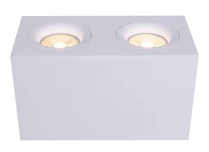 Потолочный светильник Technical C013CL-02B