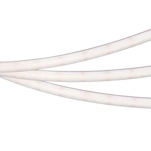 A304 PSW A304 IP67 24V 12mm