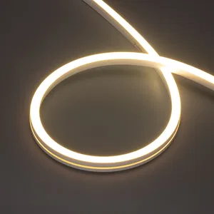 Лента герметичная MOONLIGHT-PRO-SIDE-X320-12x17mm 48V Warm3000 (10 W/m, IP67, 30m, wire x2) (Arlight, Вывод боковой, 7 лет)
