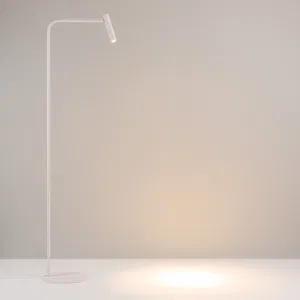 VERDI VERDI