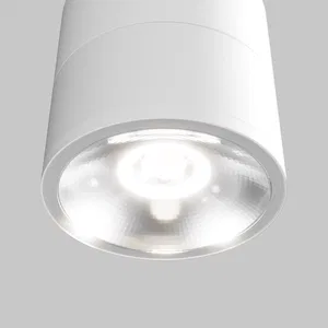 Уличный потолочный светильник Outdoor O310CL-L12W3K