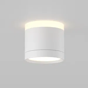 Потолочный светильник Technical C120CL-GX53-W