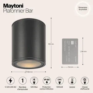 Уличный потолочный светильник Outdoor O306CL-L12GF