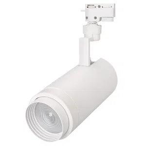 Светильник LGD-ZEUS-2TR-R100-30W White6000 (WH, 20-60 deg) (Arlight, IP20 Металл, 3 года)