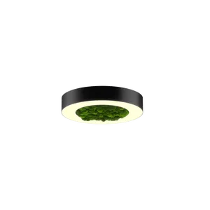 Модульный светильник HOKASU Halo Moss (кольцо со мхом)