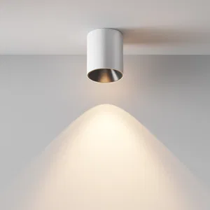 Потолочный светильник Technical C064CL-12W3K-RD-WB