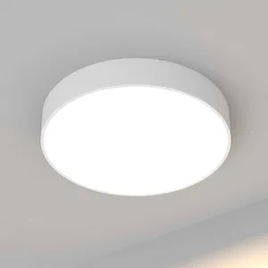 Светильник SP-TOR-PILL-R600-50W Day4000 (WH, 120 deg) (Arlight, IP20 Металл, 3 года)