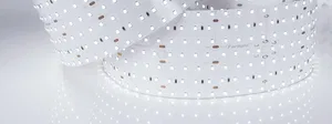 Лента S2-2500 24V White 6000K 85mm (2835, 560 LED/m, LUX) (Arlight, 40 Вт/м, IP20)
