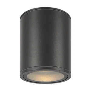 Уличный потолочный светильник Outdoor O306CL-L12GF