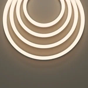 Гибкий неон Led Strip 201229