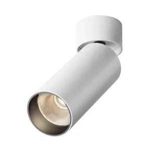 Потолочный светильник Technical C055CL