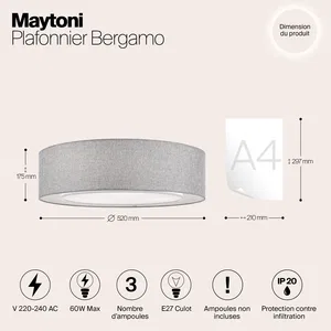 Потолочный светильник Maytoni MOD613CL-04GR