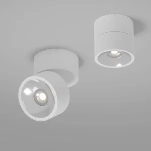 Уличный потолочный светильник Outdoor O310CL-L7W3K