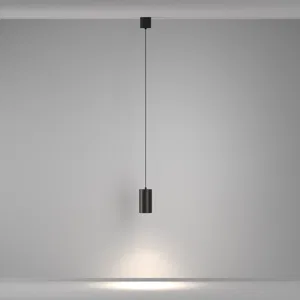 Подвесной светильник Maytoni P100PL-20W4K-B