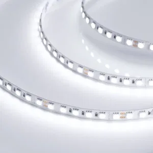 Лента RT-B96-10mm 24V White6000 (23 W/m, IP20, 5060, 5m) (Arlight, Открытый)