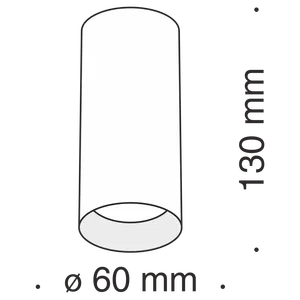 Потолочный светильник Technical C010CL-01MG