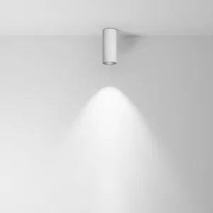 Потолочный светильник Technical C056CL-L12W4K-W-W