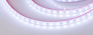 Лента герметичная RTW-PS-B60-12mm 24V RGB (14.4 W/m, IP67, 5060, 5m) (Arlight, 14.4 Вт/м, IP67)