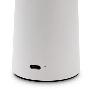 Аккумуляторный светильник Freya FR6109TL-L4W