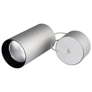 Светильник подвесной SP-POLO-R85-2-15W Day White 40deg (Silver, Black Ring) (Arlight, IP20 Металл, 3 года)