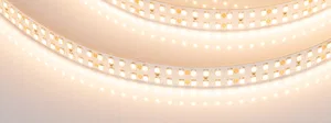Лента RT-A320-15mm 24V Warm2700 (24 W/m, IP20, 2835, 5m) (Arlight, высок.эфф.150 лм/Вт)