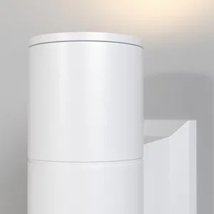 Уличный настенный светильник Outdoor O574WL-02W