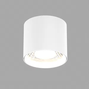 Светильник SP-DICE-R77-10W Day4000 (WH, 24 deg, 230V) (Arlight, IP54 Металл, 5 лет)