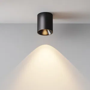 Потолочный светильник Technical C064CL-12W3K-RD-B