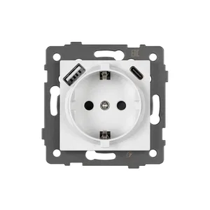 Механизм розетки с USB зарядкой SCT-MUAA-PL-WH-V (250V, 16A) (Arlight, -)