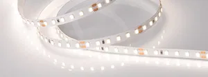 Лента RT 2-5000 24V Day4000 2x (2835, 600 LED, PRO) (Arlight, 14.4 Вт/м, IP20)