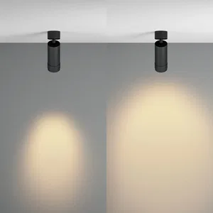 Потолочный светильник Technical C055CL-L12W2.7K-Z-B