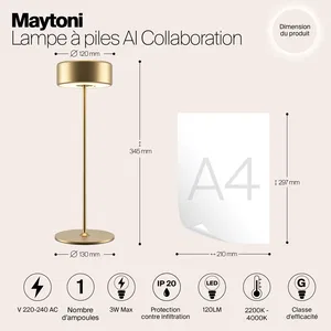 Аккумуляторный светильник Maytoni MOD229TL-L3G3K2