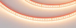 Лента герметичная RTW-PS-A160-10mm 24V Warm2700 (12 W/m, IP67, 2835, 5m) (Arlight, 12 Вт/м, IP67)