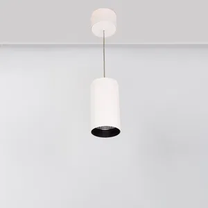 Светильник подвесной SP-POLO-R85-2-15W Warm White 40deg (White, Black Ring) (Arlight, IP20 Металл, 3 года)