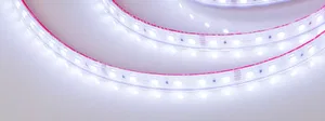 Лента герметичная RTW-PS-B60-12mm 24V RGB (14.4 W/m, IP67, 5060, 5m) (Arlight, 14.4 Вт/м, IP67)