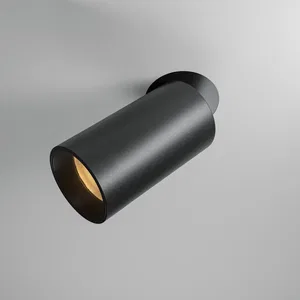 Встраиваемый светильник Technical DL125-L12-3K-TRS-B